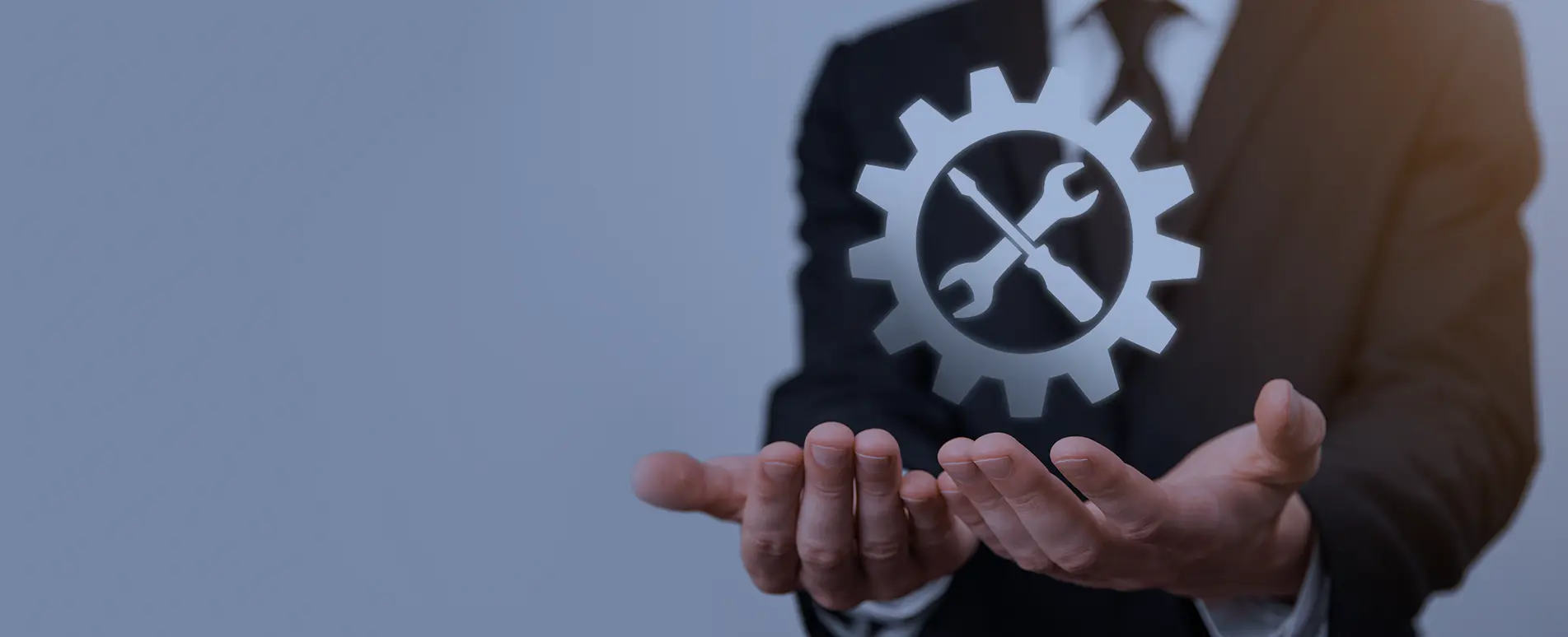 Software Maintenance & Support