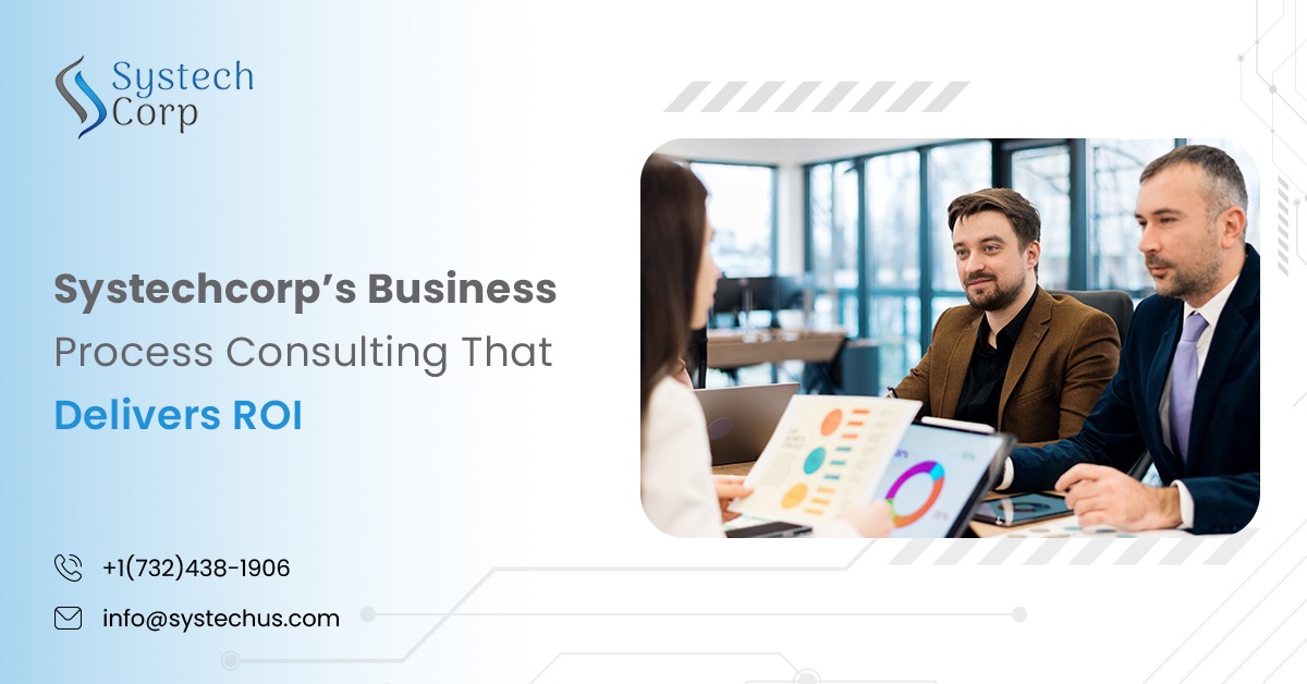 Business Process Consultant Services