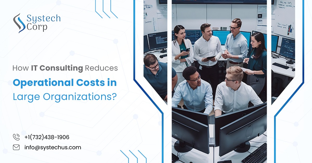 IT Consulting Cost Optimization Strategies for Enterprises