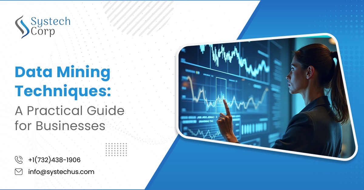 Data Mining Techniques Explained: Business Methods & Applications